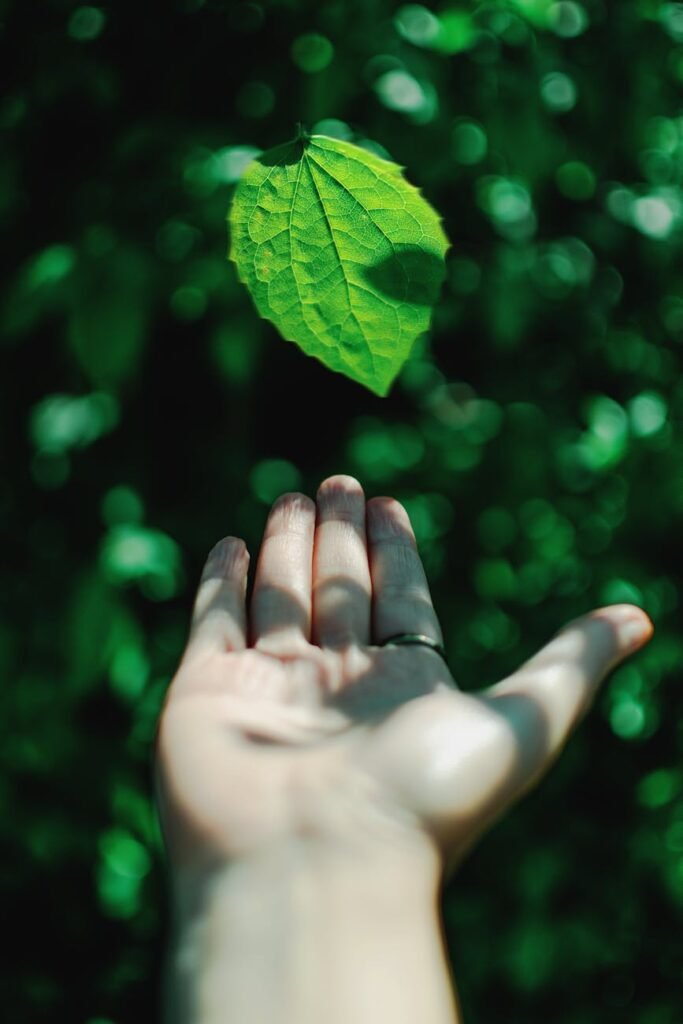 Close-up of a hand reaching out to a green leaf, showcasing nature's freshness.